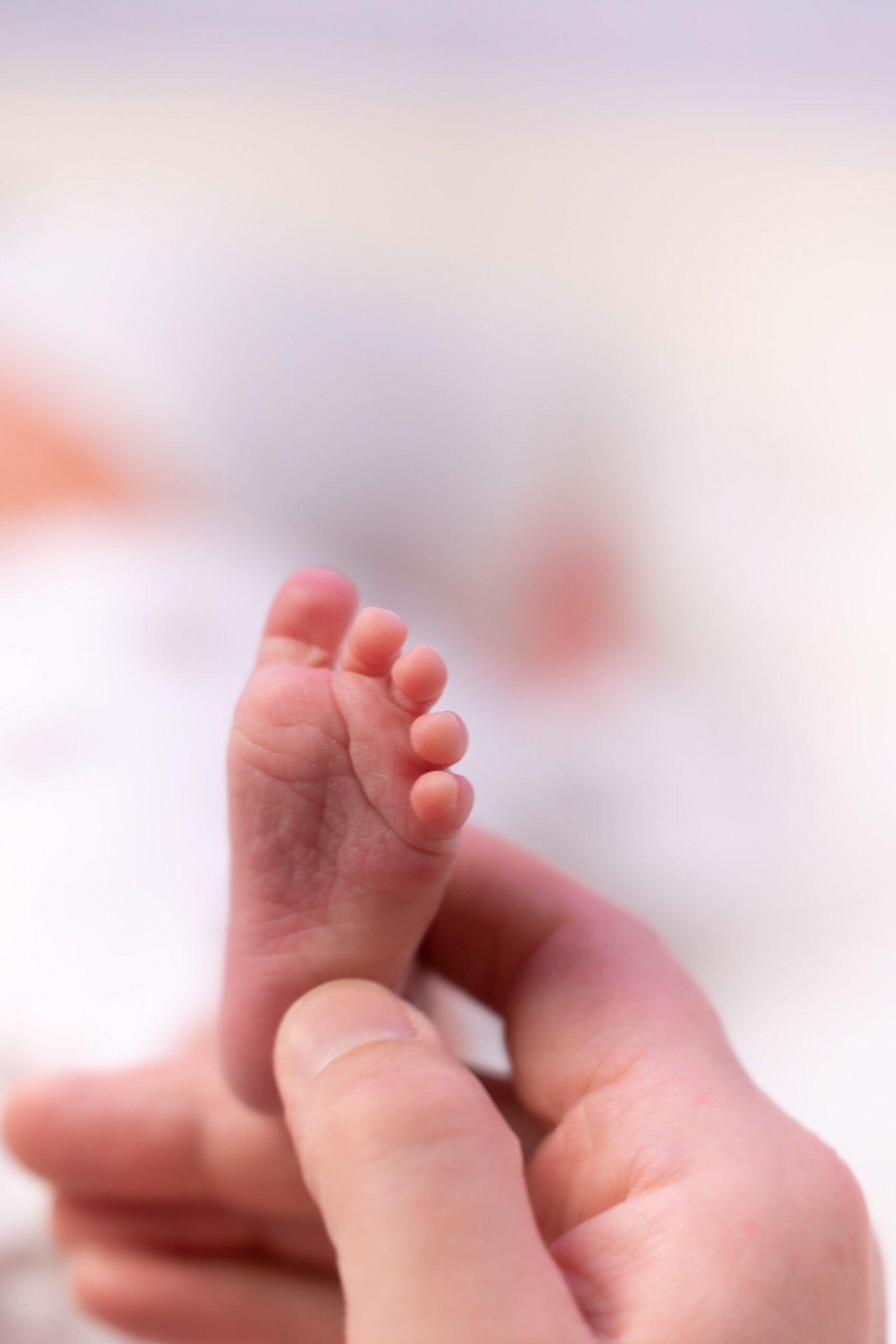 Newborn (Platzhalter, bitte ersetzen) 1